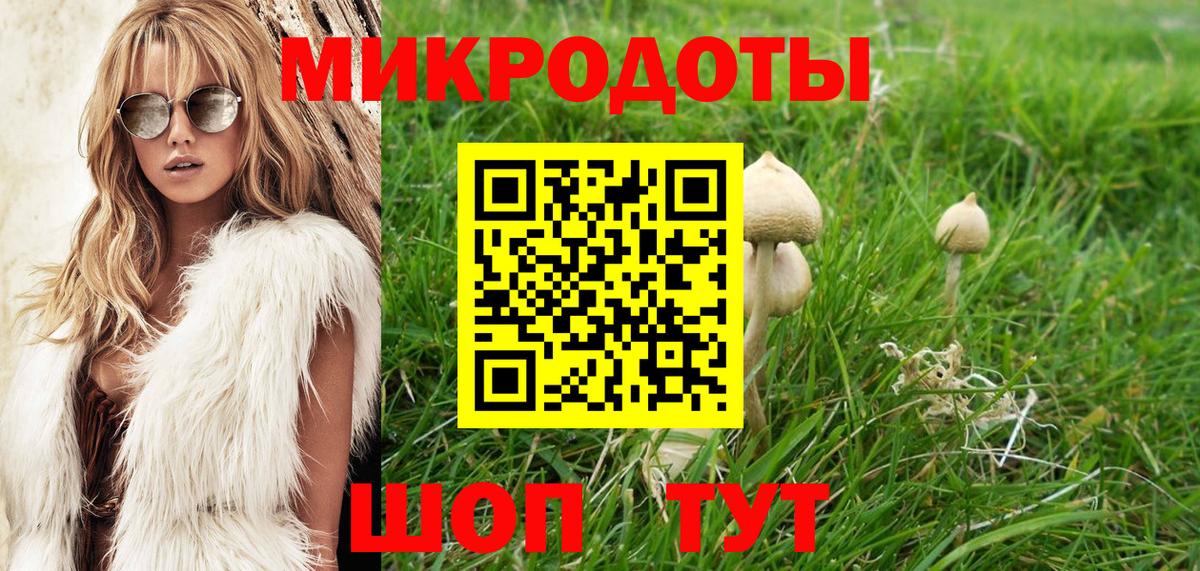 Канск  Галлюциногенные грибы Psilocybine cubensis  Псилоцибиновые грибы мухоморы  Вход с VPN 